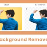 Free Online Image Background Remover – Remove Background Instantly